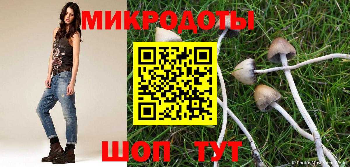 Галлюциногенные грибы Psilocybe  Псилоцибиновые грибы GOLDEN TEACHER  Вход с VPN  Каменск-Уральский 